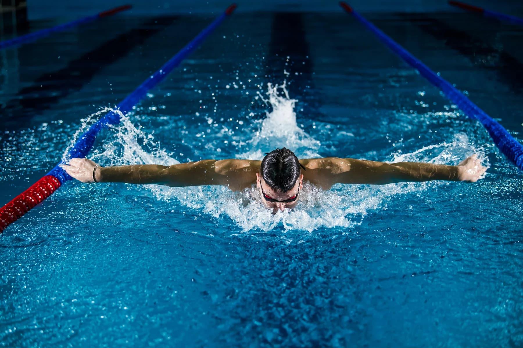 Swimmer practising butterfly in a lane pool